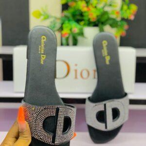 New Christian Dior Ladies Casual Slippers