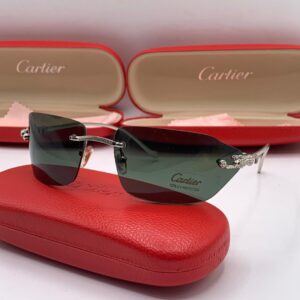 Cartier "Panthère Silver-Iced" Shield – The 2026 Street Executive