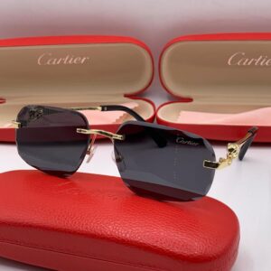Cartier "Panthère Heritage" Rimless Collection - The "Noir Panthère" Shades