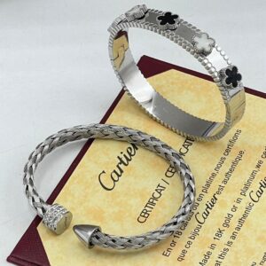 The "Industrial Platinum" Heritage Set: Architectural Bangle & Woven Torque