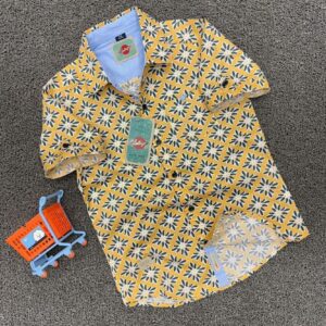 Premium Button-Down Shirts
