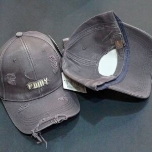 FDNY Distressed Gray Cap