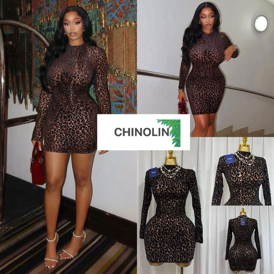 Seductive Leopard Print Bodycon Mini Dress