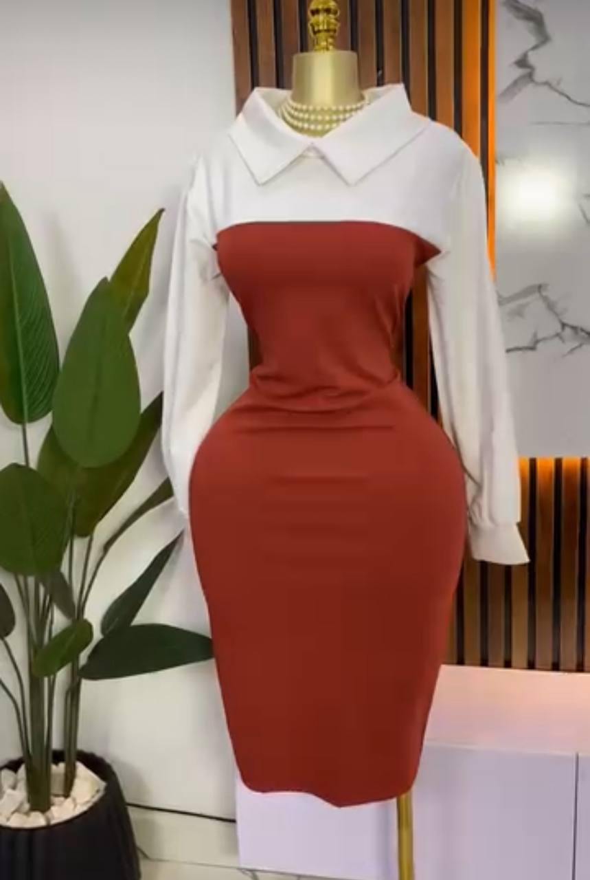 Women's Sophisticated Contrast Collar Corporate Pencil Dress