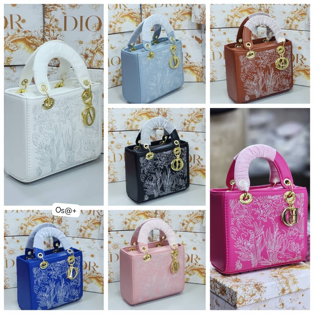 Dior Premium Embroidered Lady Satchel