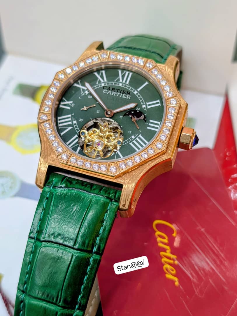 Luxury Skeleton Tourbillon Automatic Watch - Image 2