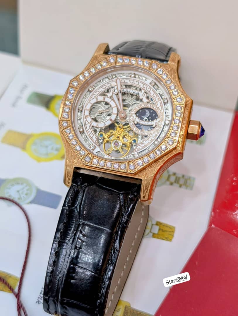 Luxury Skeleton Tourbillon Automatic Watch