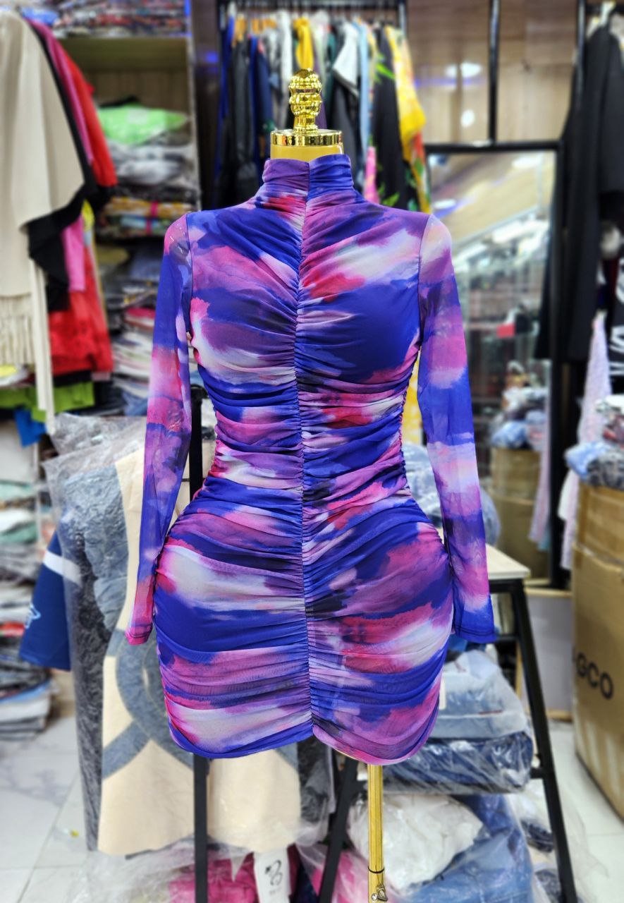 Women's Printed Mesh Long-Sleeve Ruched Bodycon Mini Dress