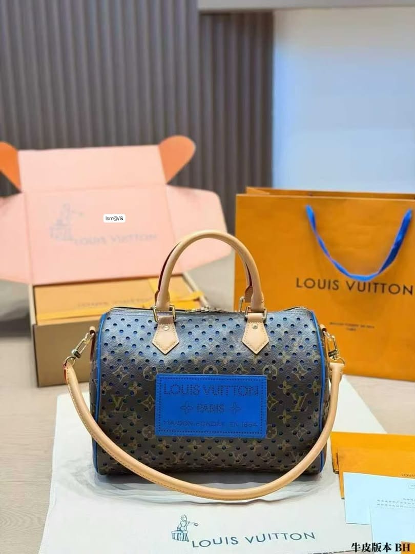 Louis Vuitton Luxury Monogram Speedy Bag