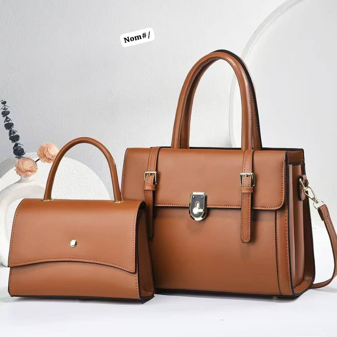 Women's 2-Piece Structured Handbag & Mini Satchel Set